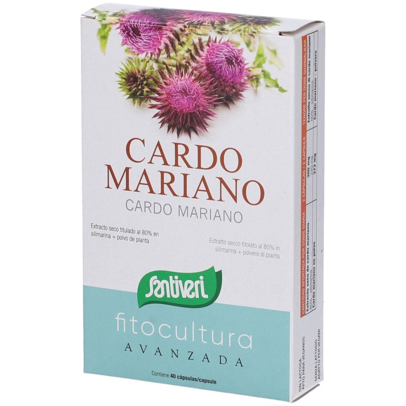 cardo mariano  capsule santiveri