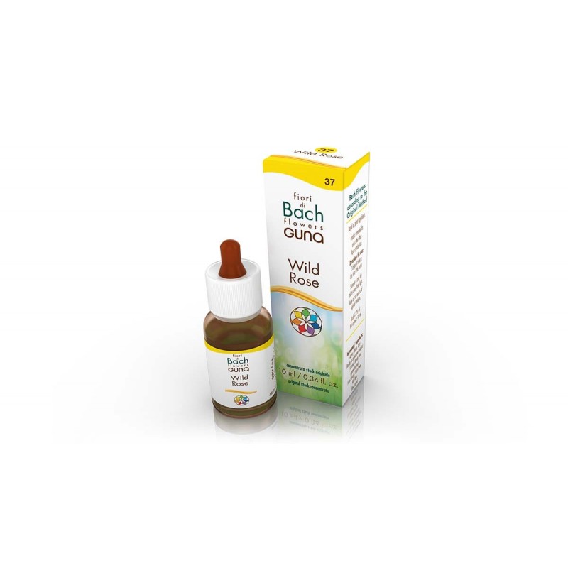WILD  ROSE  Guna